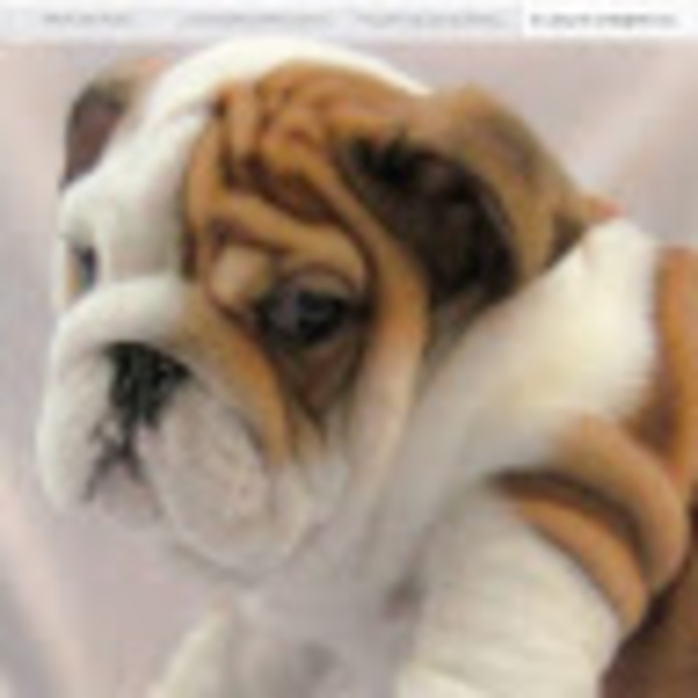 Meet your Posher, Madelin